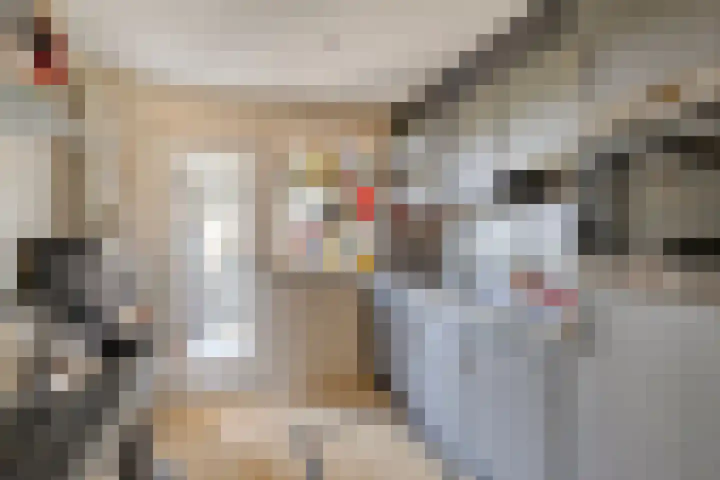 Hoofdstraat 6 a Niezijl thumbnail 17