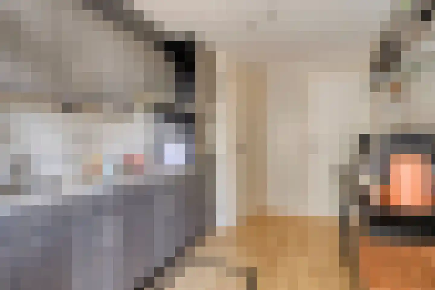 Hoofdstraat 6 a Niezijl thumbnail 18