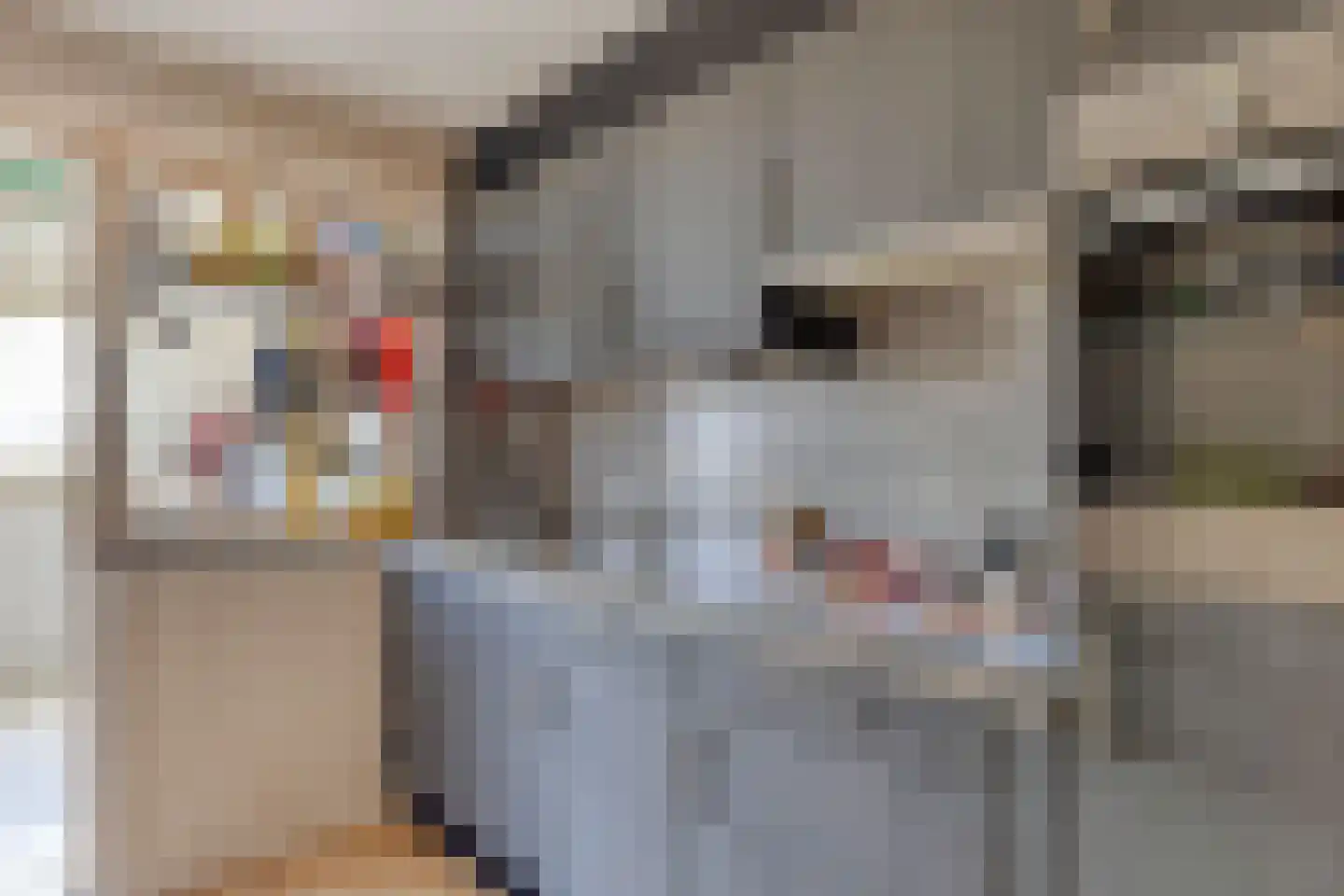 Hoofdstraat 6 a Niezijl thumbnail 19