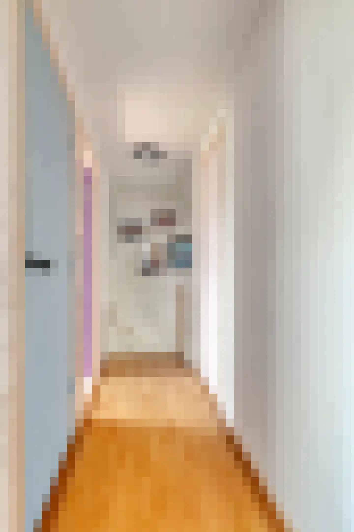 Hoofdstraat 6 a Niezijl thumbnail 22