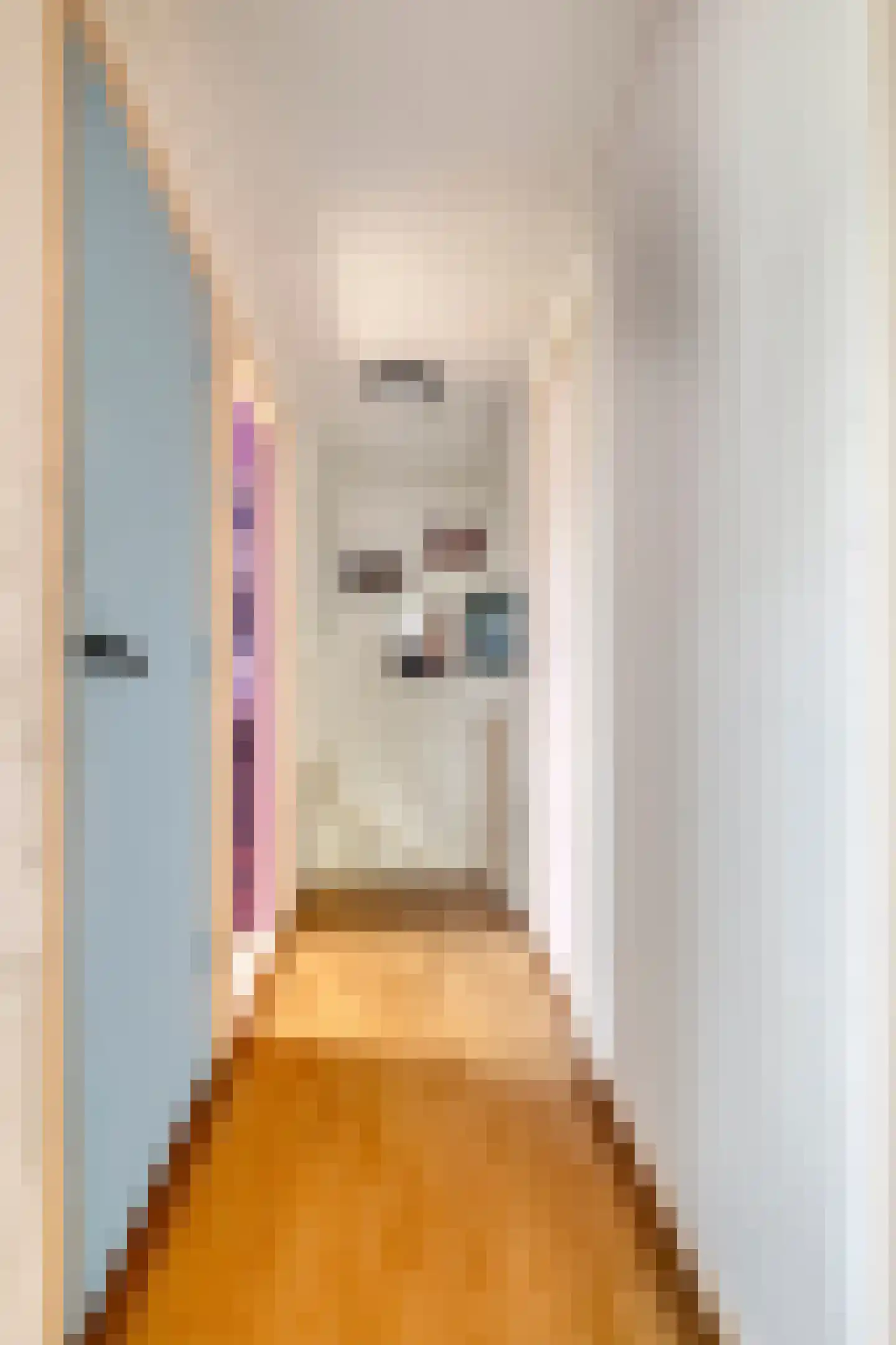 Hoofdstraat 6 a Niezijl thumbnail 23