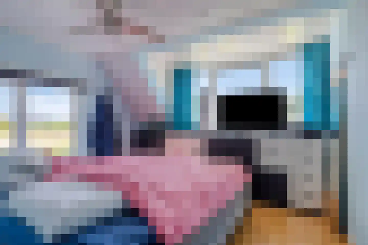Hoofdstraat 6 a Niezijl thumbnail 24