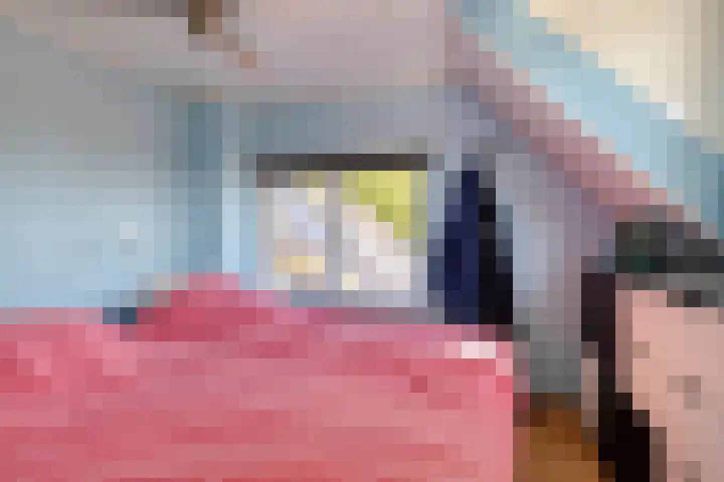 Hoofdstraat 6 a Niezijl thumbnail 25