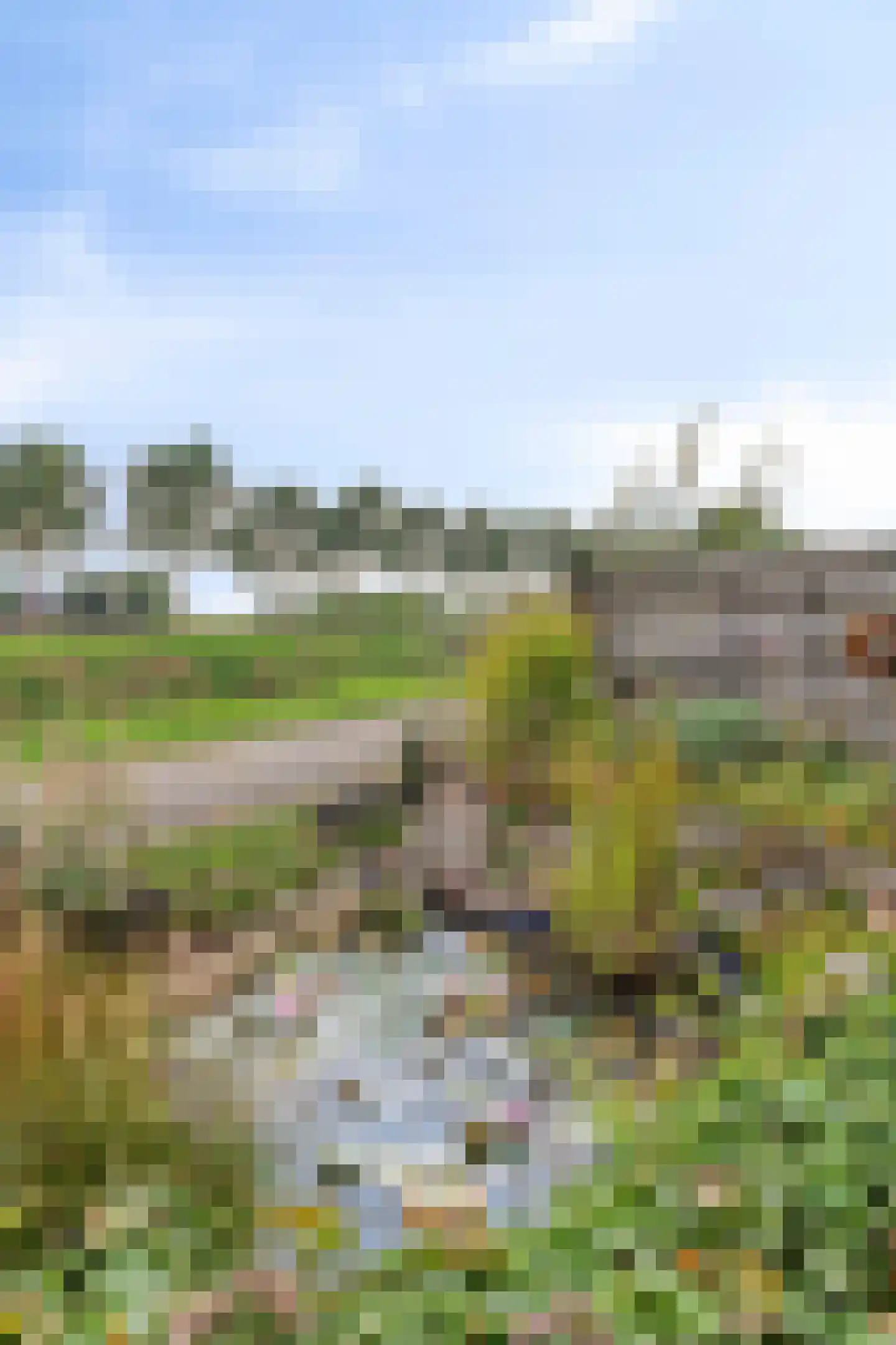 Hoofdstraat 6 a Niezijl thumbnail 35