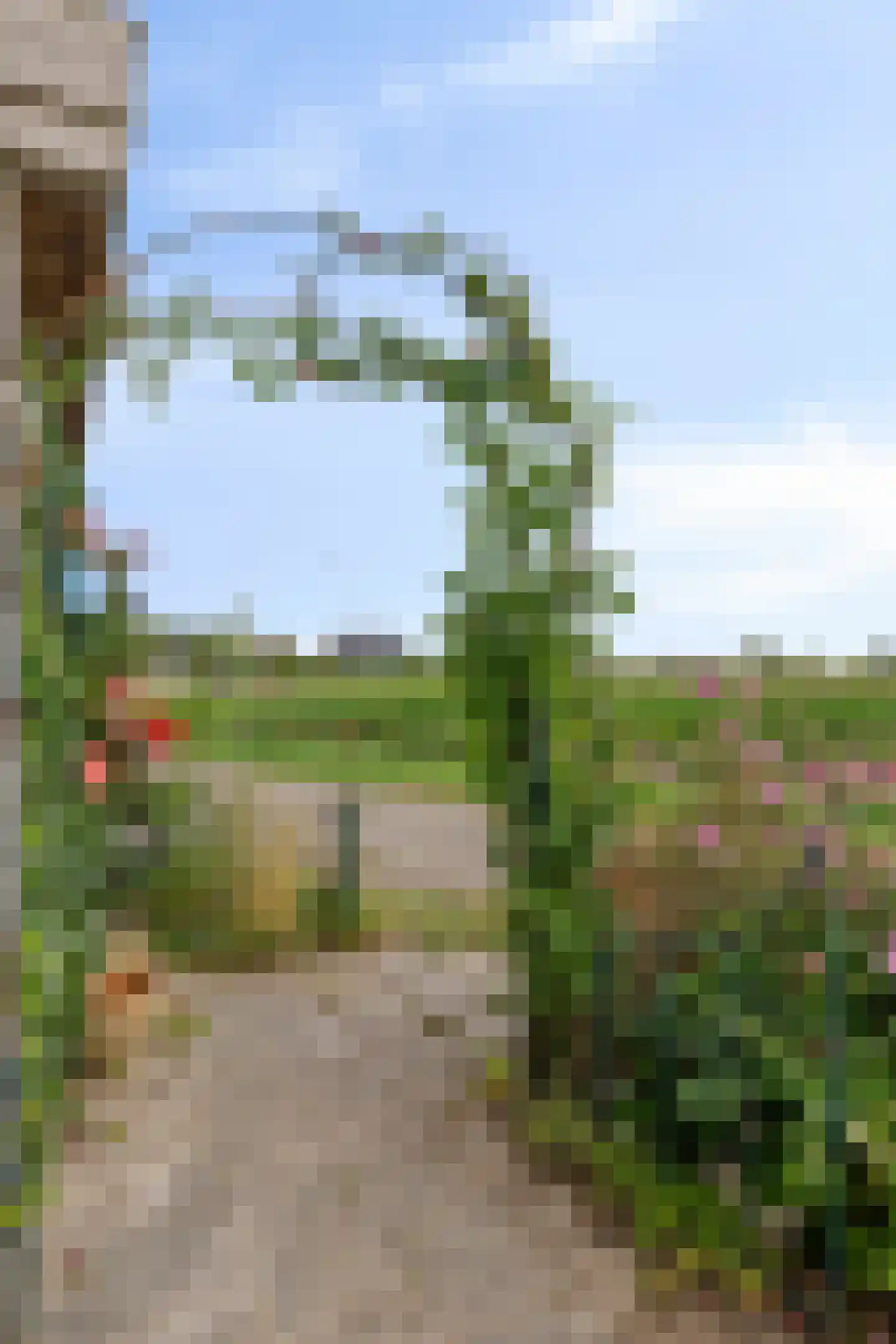 Hoofdstraat 6 a Niezijl thumbnail 36