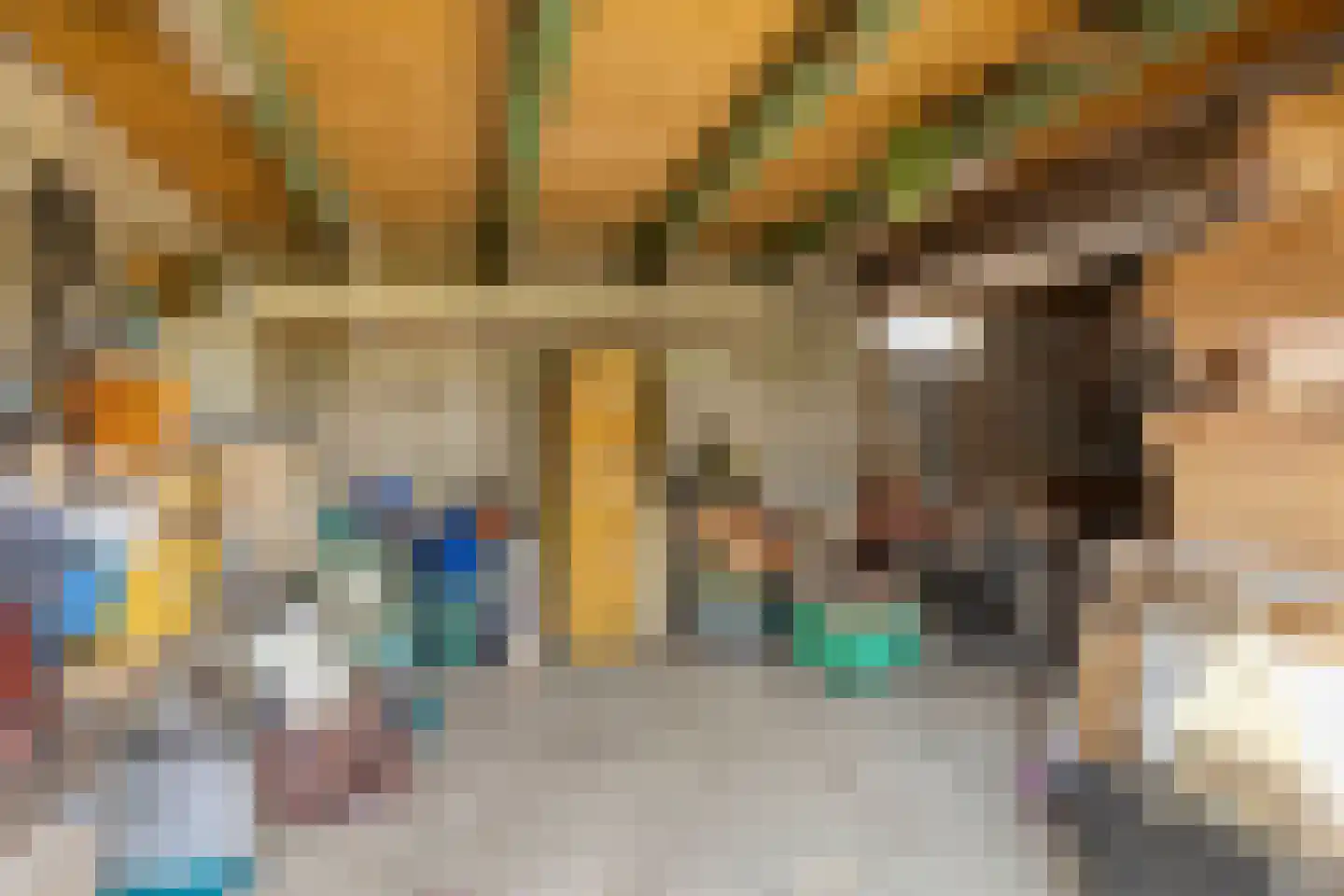 Hoofdstraat 6 a Niezijl thumbnail 45