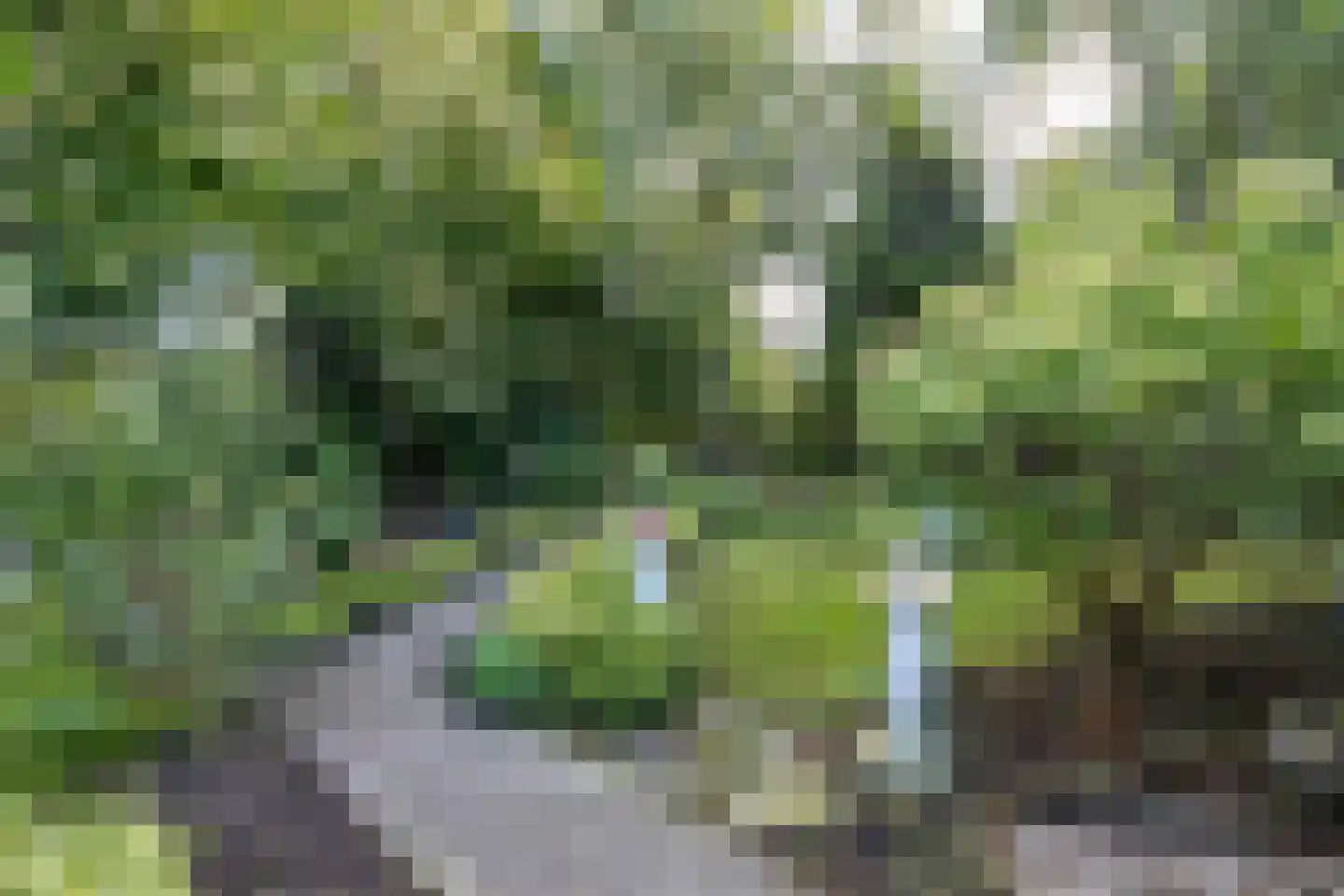 Hoofdstraat 6 Een thumbnail 47