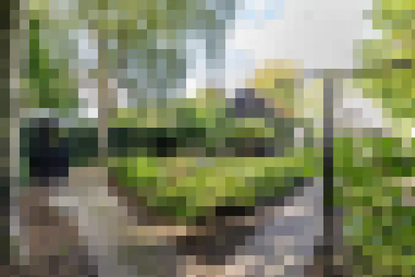 Hoofdstraat 6 Een thumbnail 50