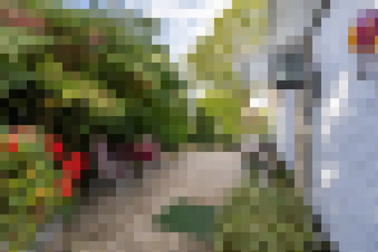Hoofdstraat 6 Een thumbnail 51