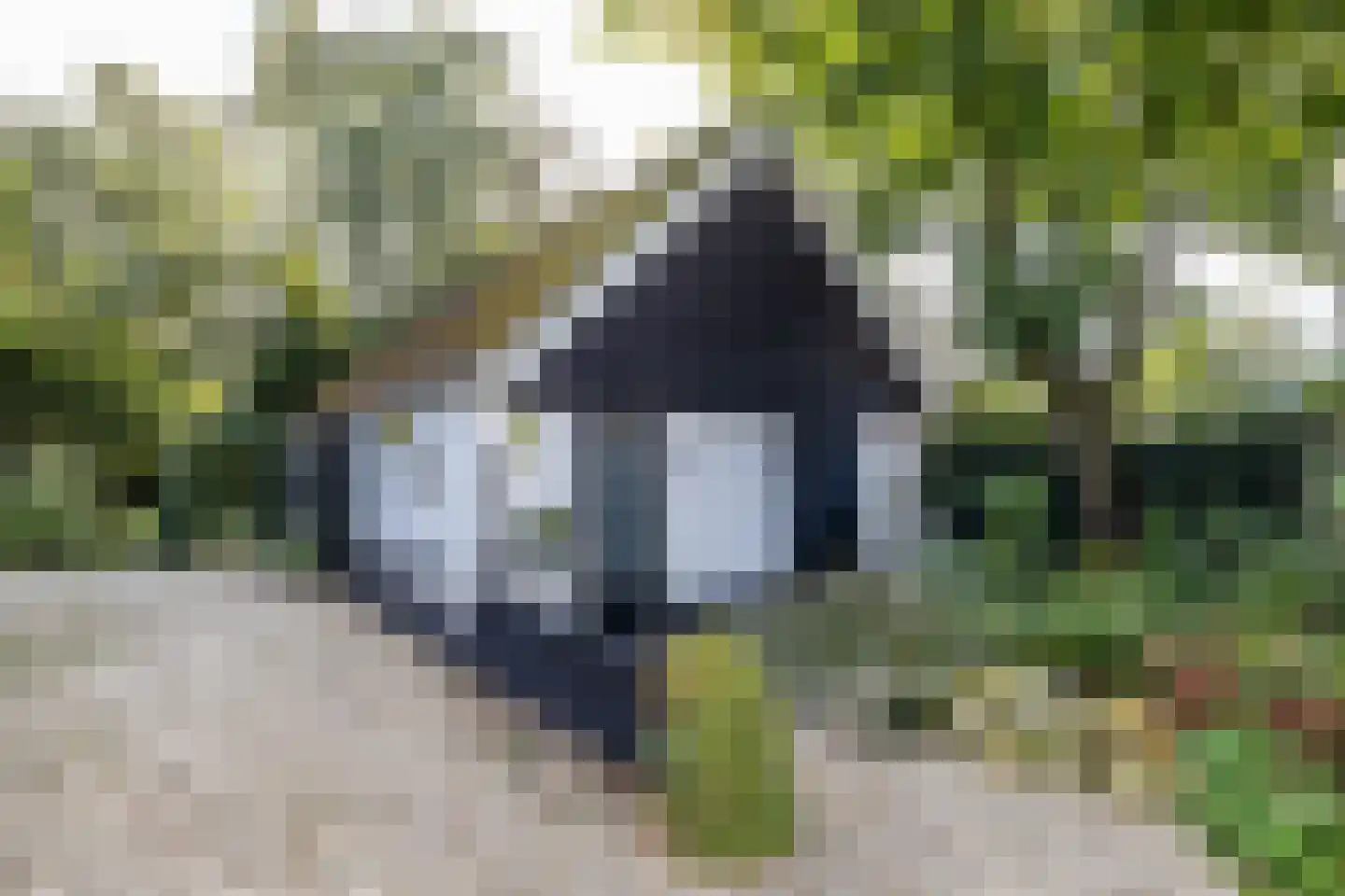 Hoofdstraat 6 Een thumbnail 59