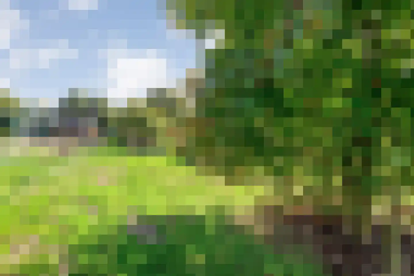 Hoofdstraat 6 Elp thumbnail 100