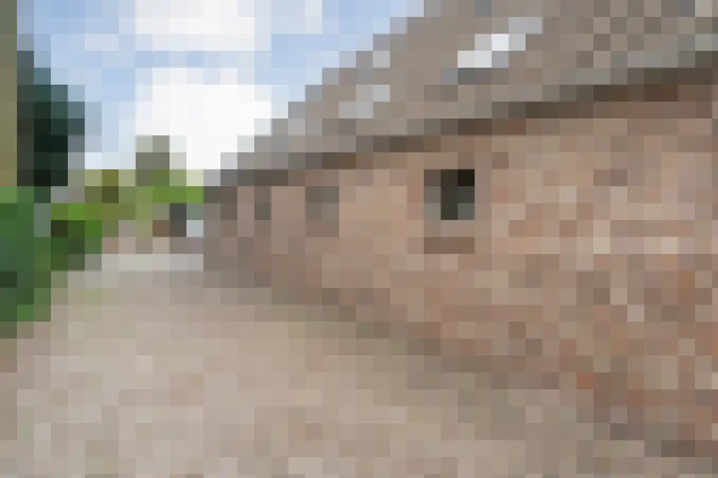 Hoofdstraat 6 Elp thumbnail 102