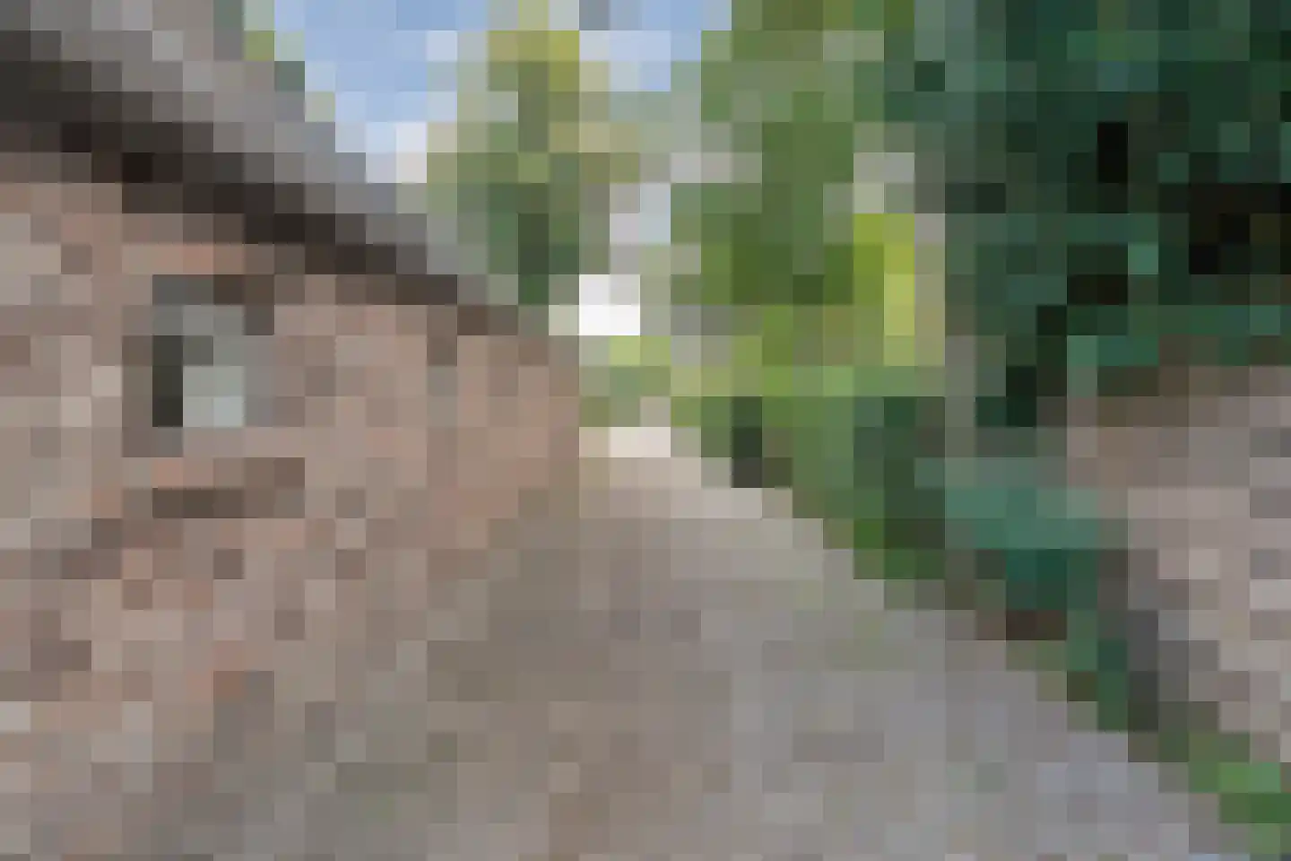 Hoofdstraat 6 Elp thumbnail 104