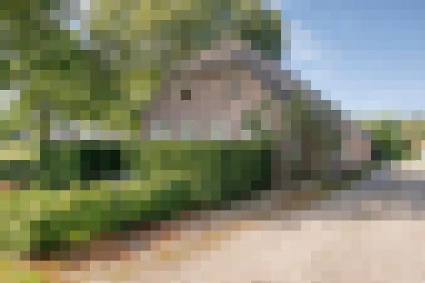 Hoofdstraat 6 Elp thumbnail 106