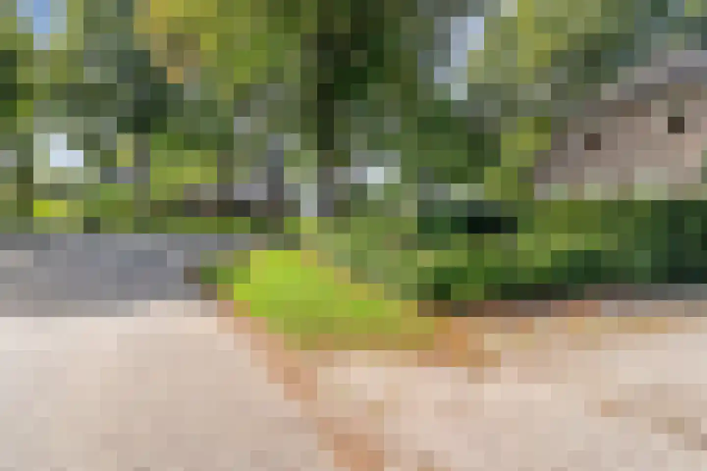 Hoofdstraat 6 Elp thumbnail 108