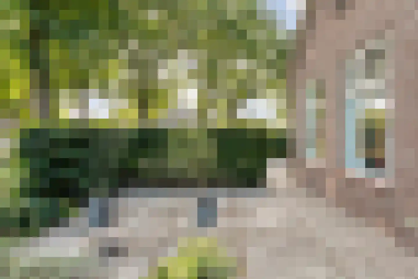 Hoofdstraat 6 Elp thumbnail 110