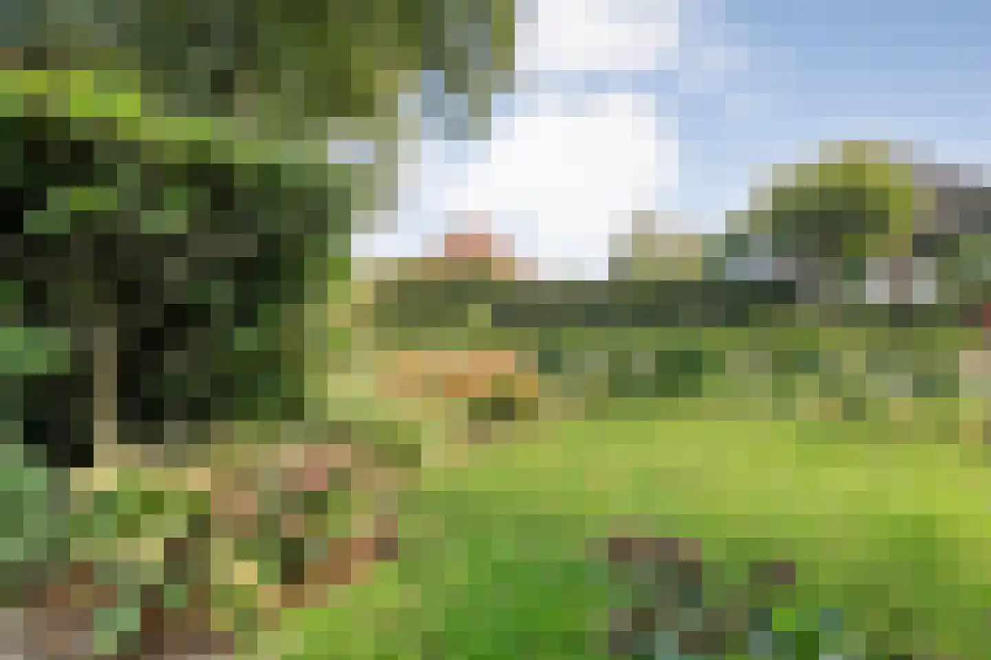 Hoofdstraat 6 Elp thumbnail 112
