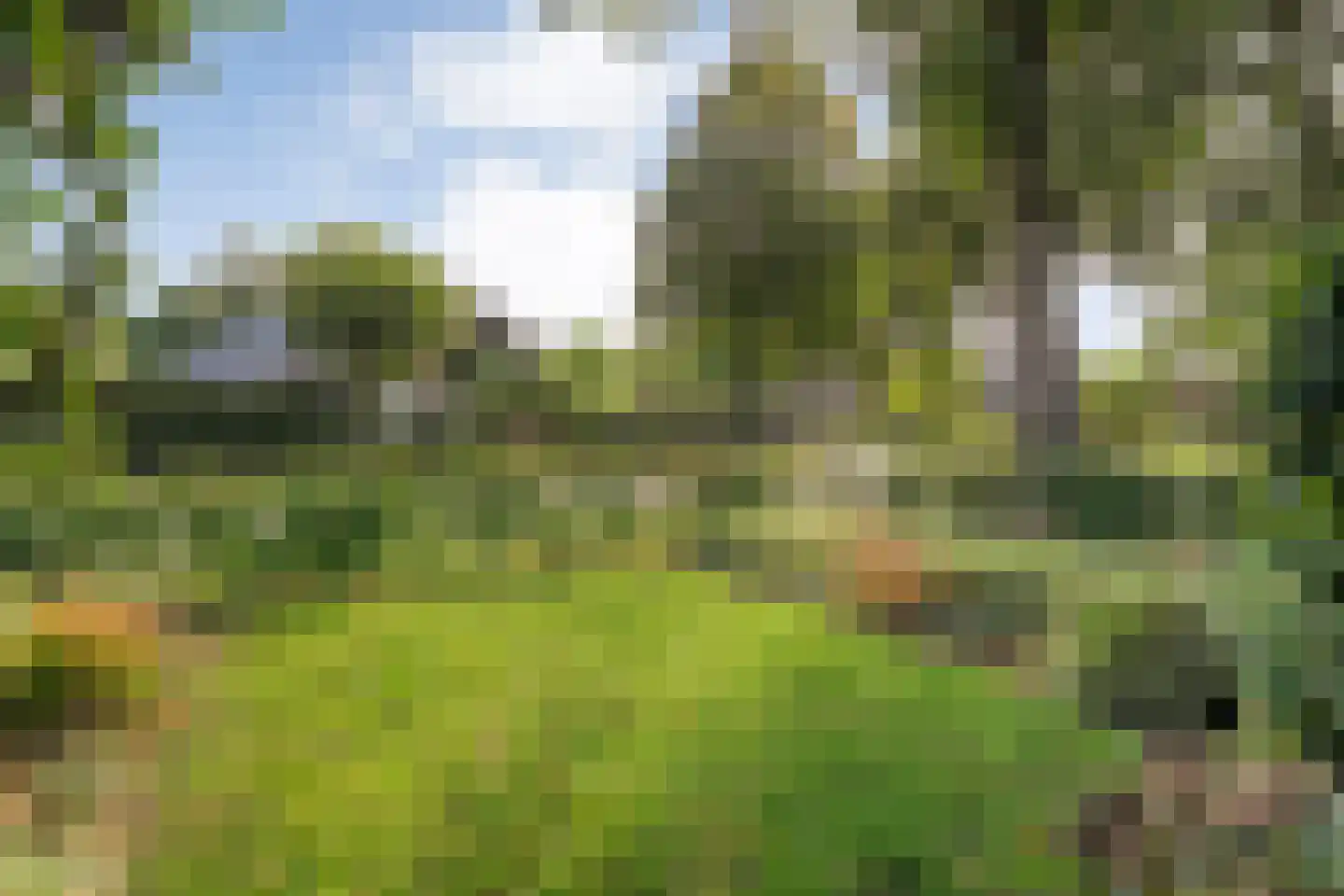 Hoofdstraat 6 Elp thumbnail 113