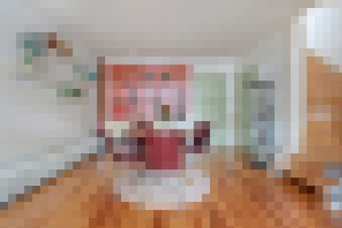 Hoofdstraat 6 Elp thumbnail 26