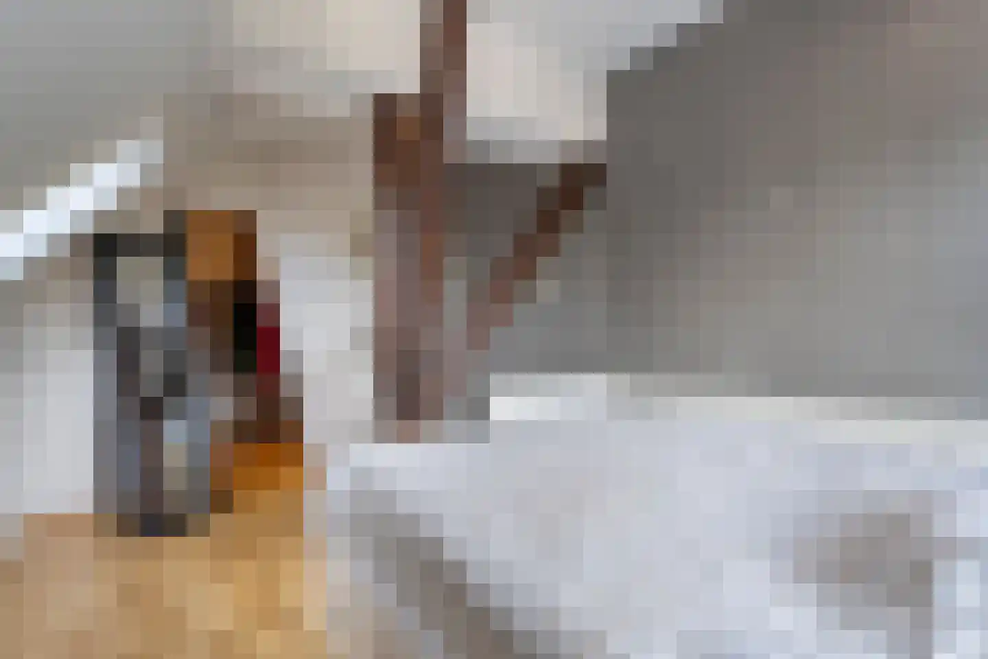 Hoofdstraat 6 Elp thumbnail 48