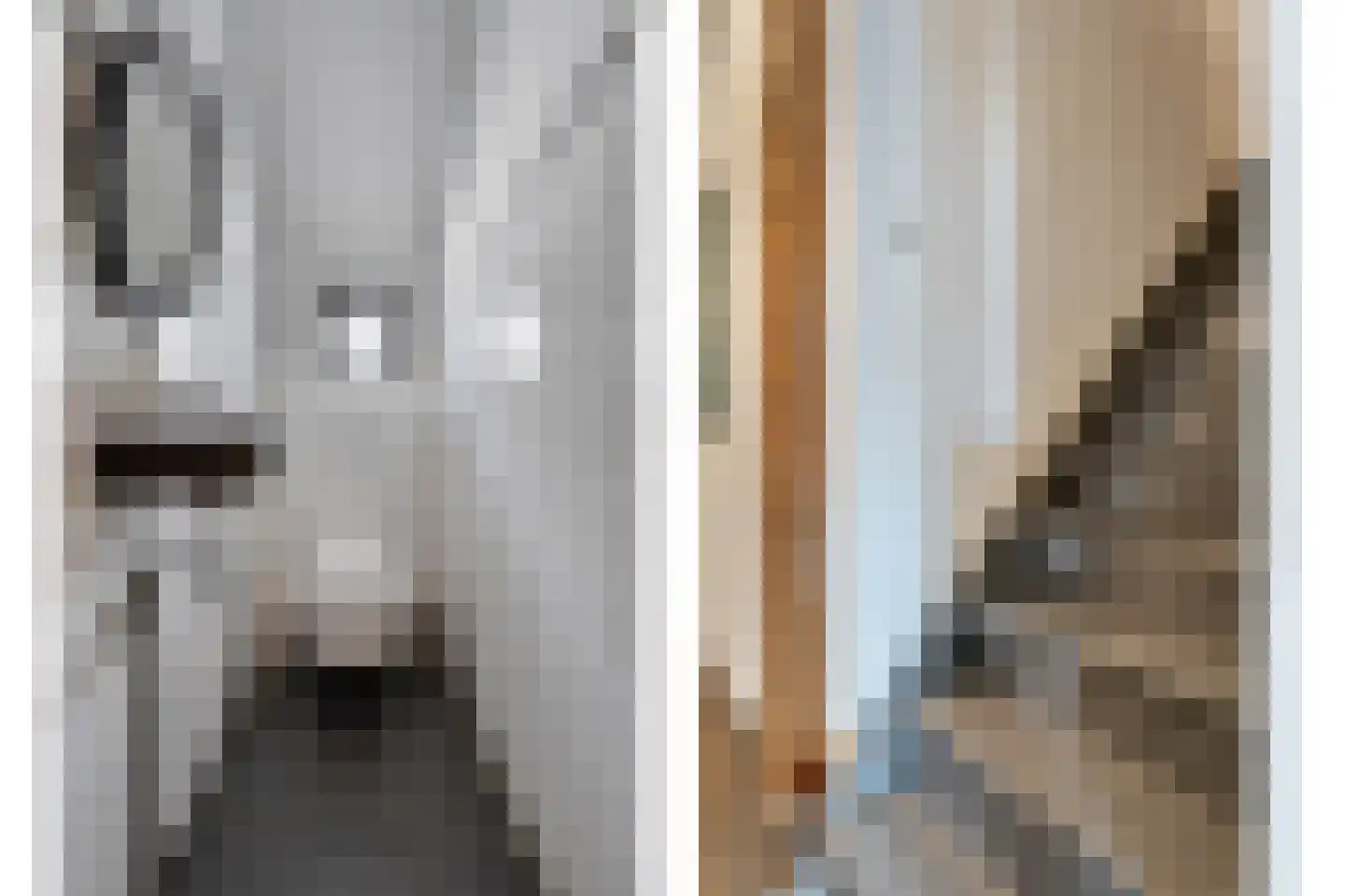 Hoofdstraat 6 Elp thumbnail 70
