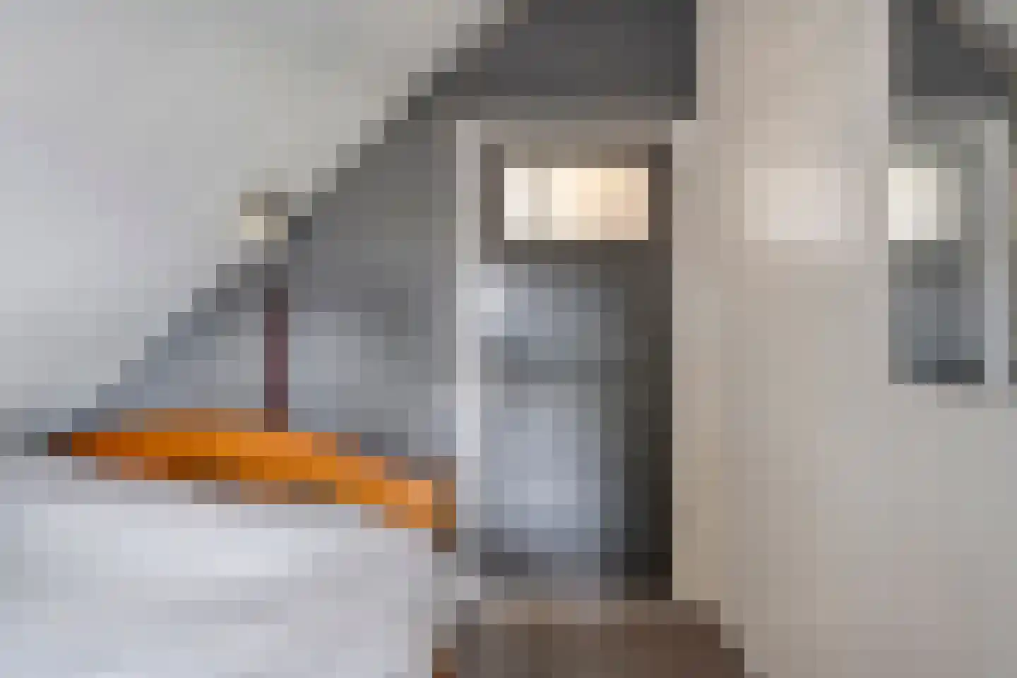 Hoofdstraat 6 Elp thumbnail 75