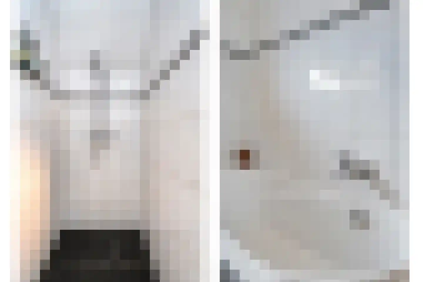 Hoofdstraat 6 Elp thumbnail 82