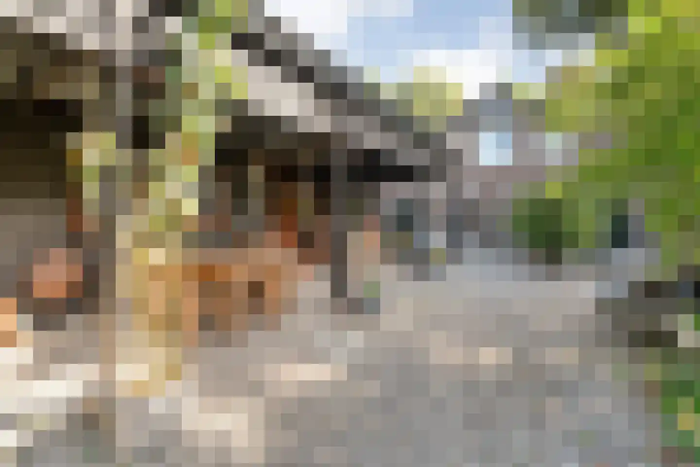 Hoofdstraat 6 Elp thumbnail 88