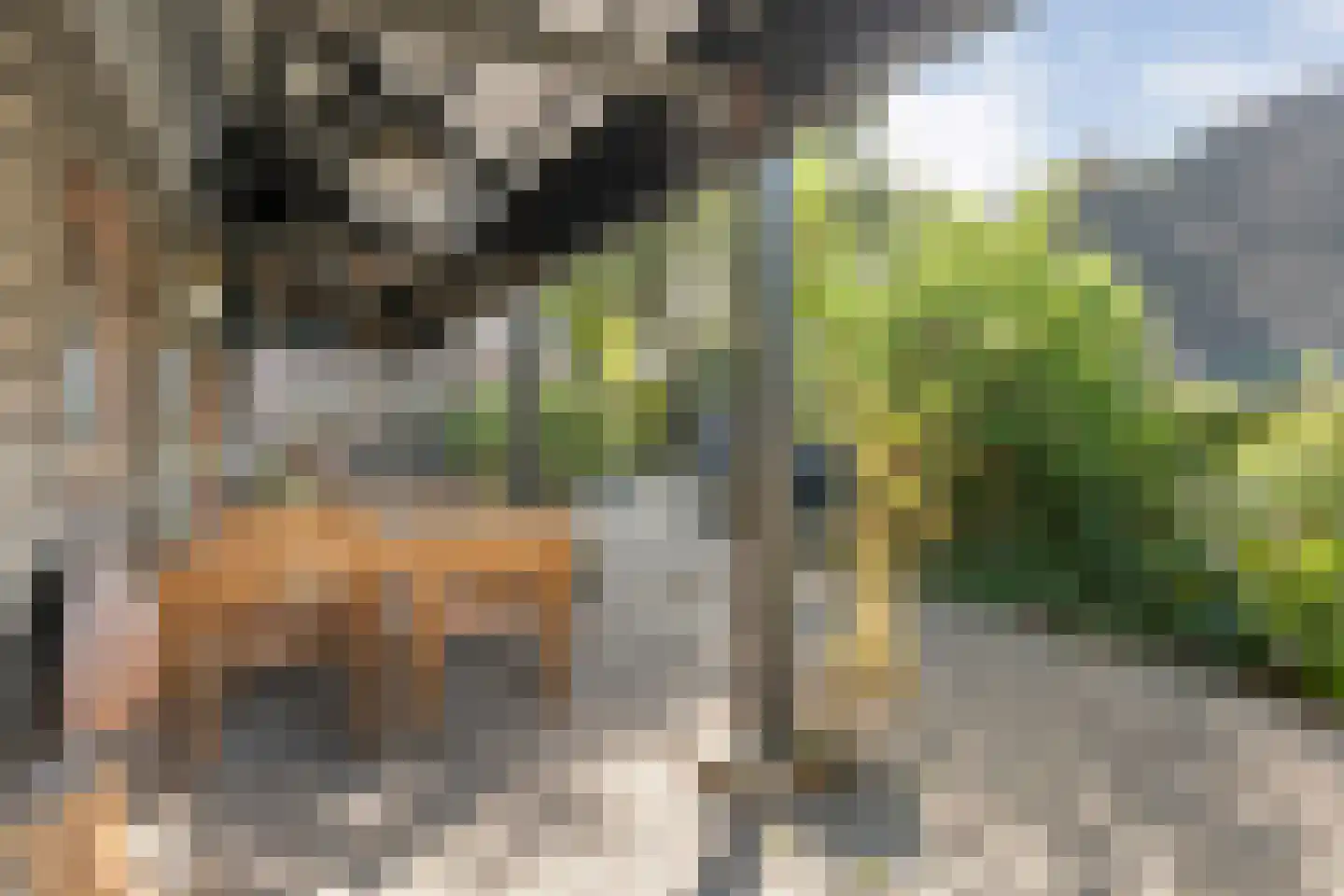 Hoofdstraat 6 Elp thumbnail 89