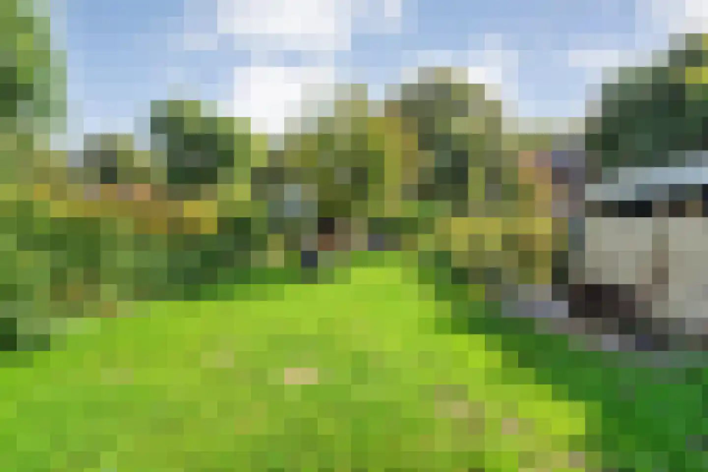 Hoofdstraat 6 Elp thumbnail 96
