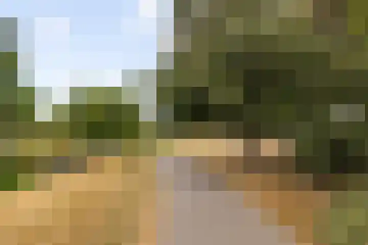 Hoofdstraat 6 J Best thumbnail 37