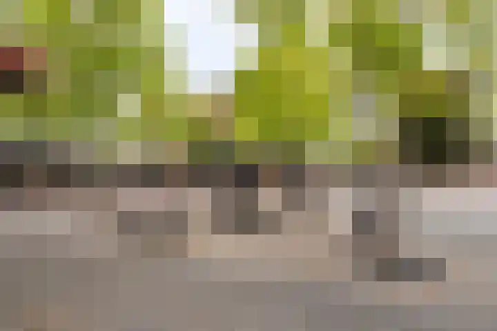 Hoofdstraat 6 J Best thumbnail 39