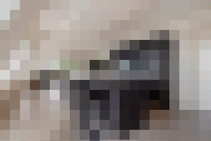 Hoofdstraat 6 J Best thumbnail 4