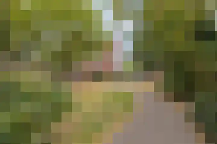 Hoofdstraat 6 J Best thumbnail 40