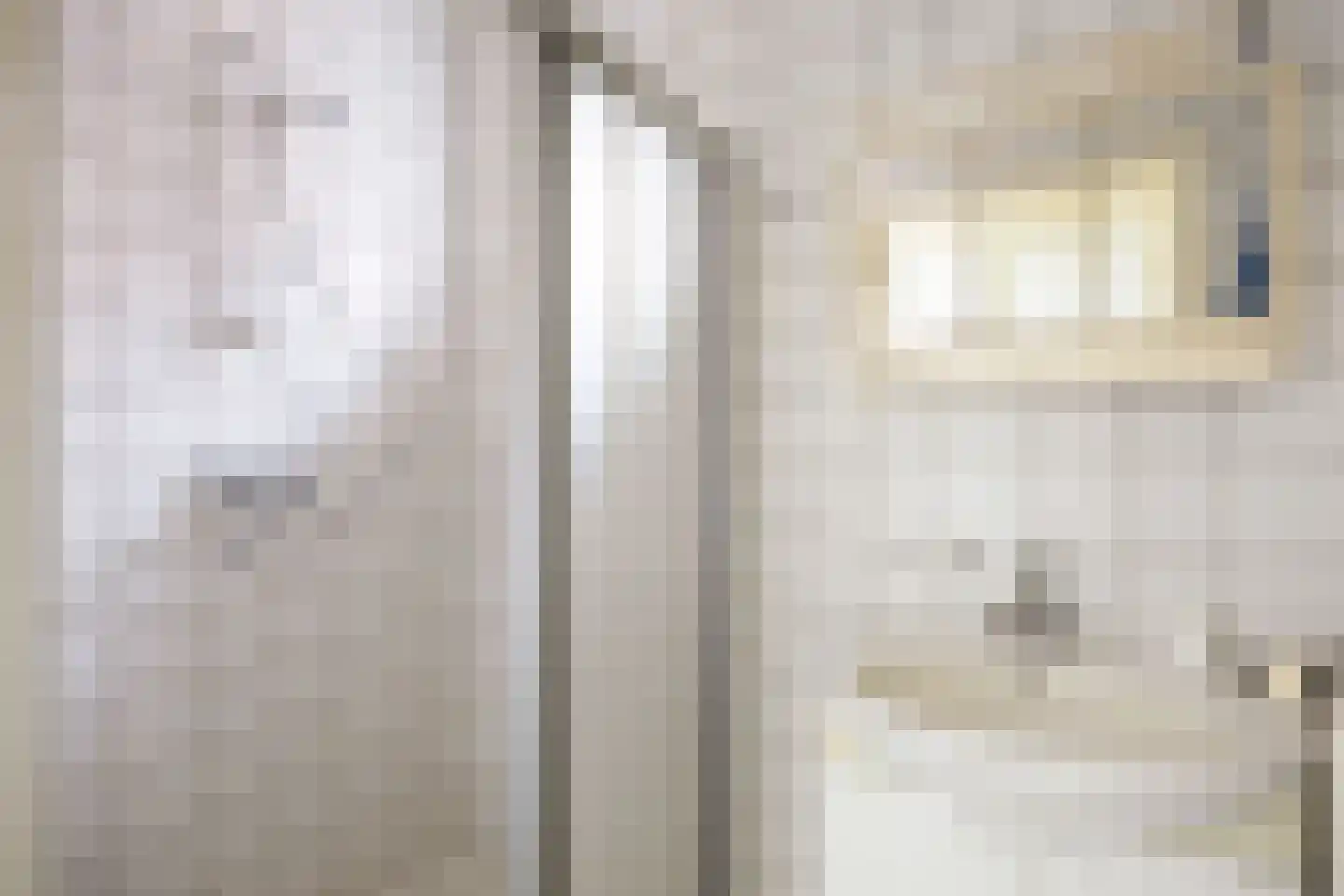 Hoofdstraat 6 Kloosterburen thumbnail 37