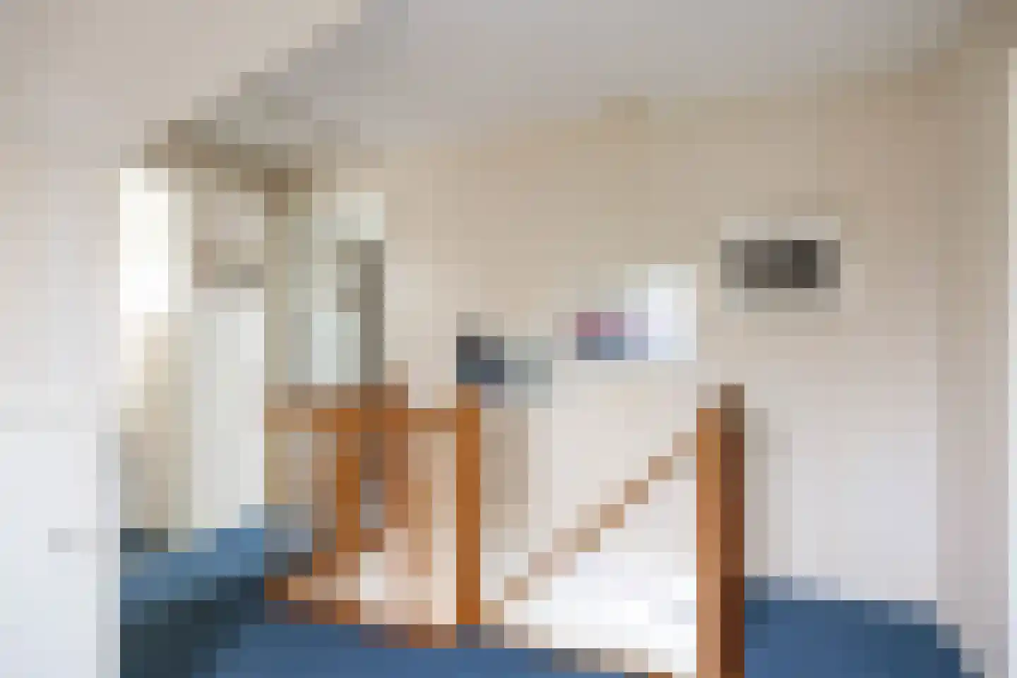 Hoofdstraat 6 Kloosterburen thumbnail 44