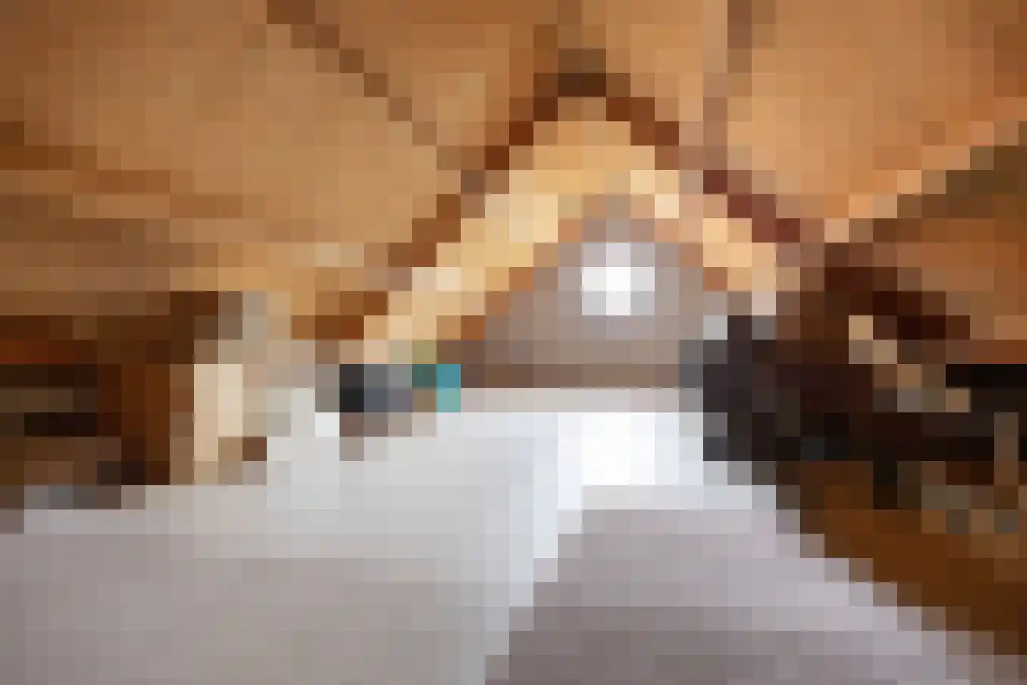 Hoofdstraat 6 Kloosterburen thumbnail 66