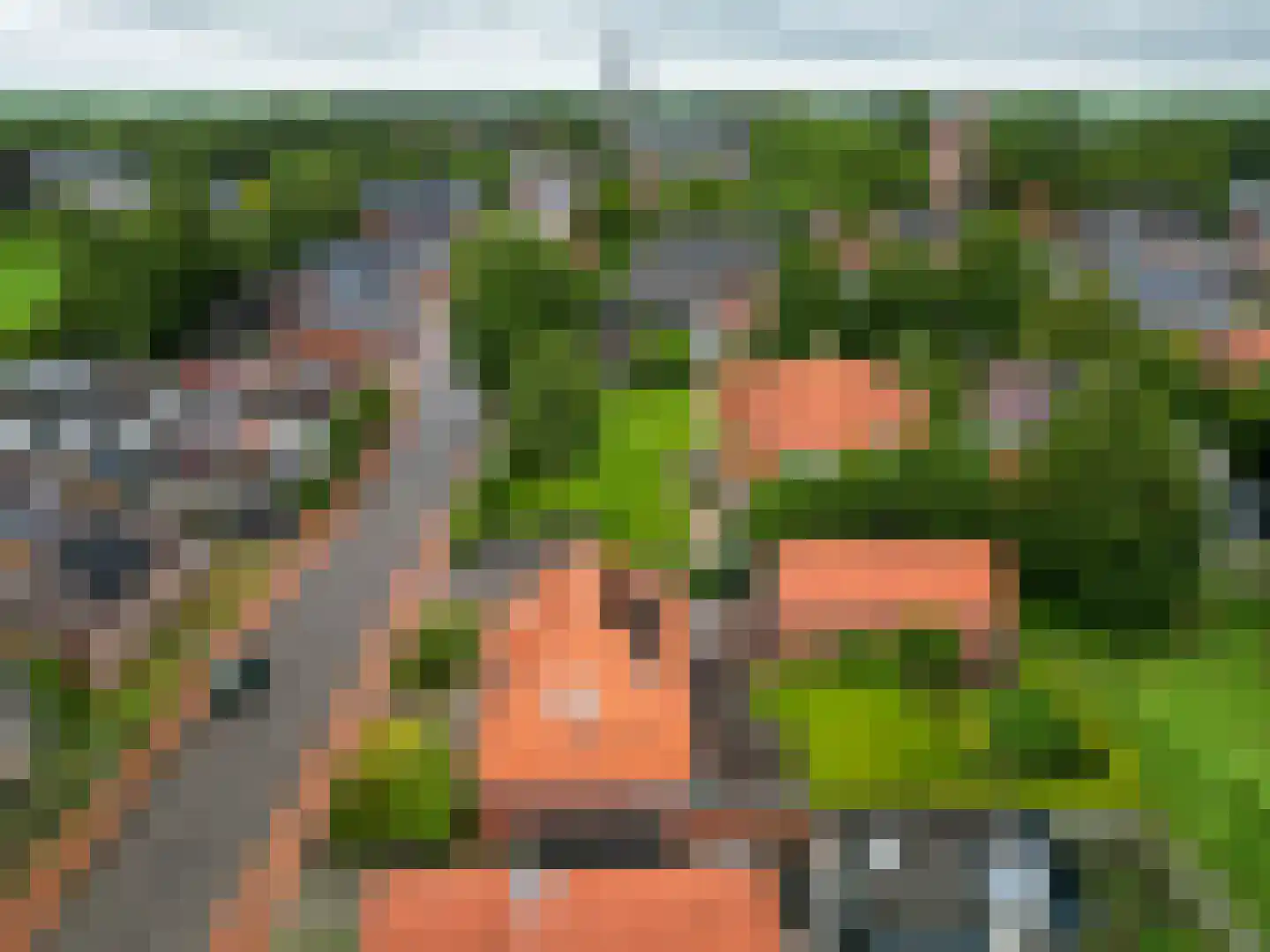 Hoofdstraat 6 Kloosterburen thumbnail 8