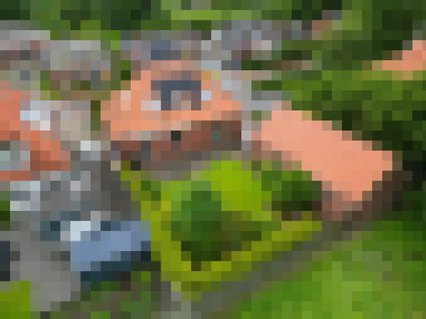 Hoofdstraat 6 Kloosterburen thumbnail 9