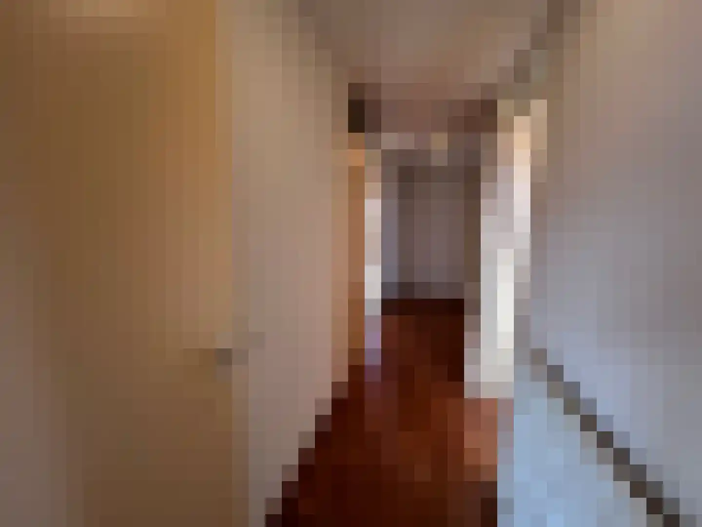 Hoofdstraat 6 m Vroomshoop thumbnail 14