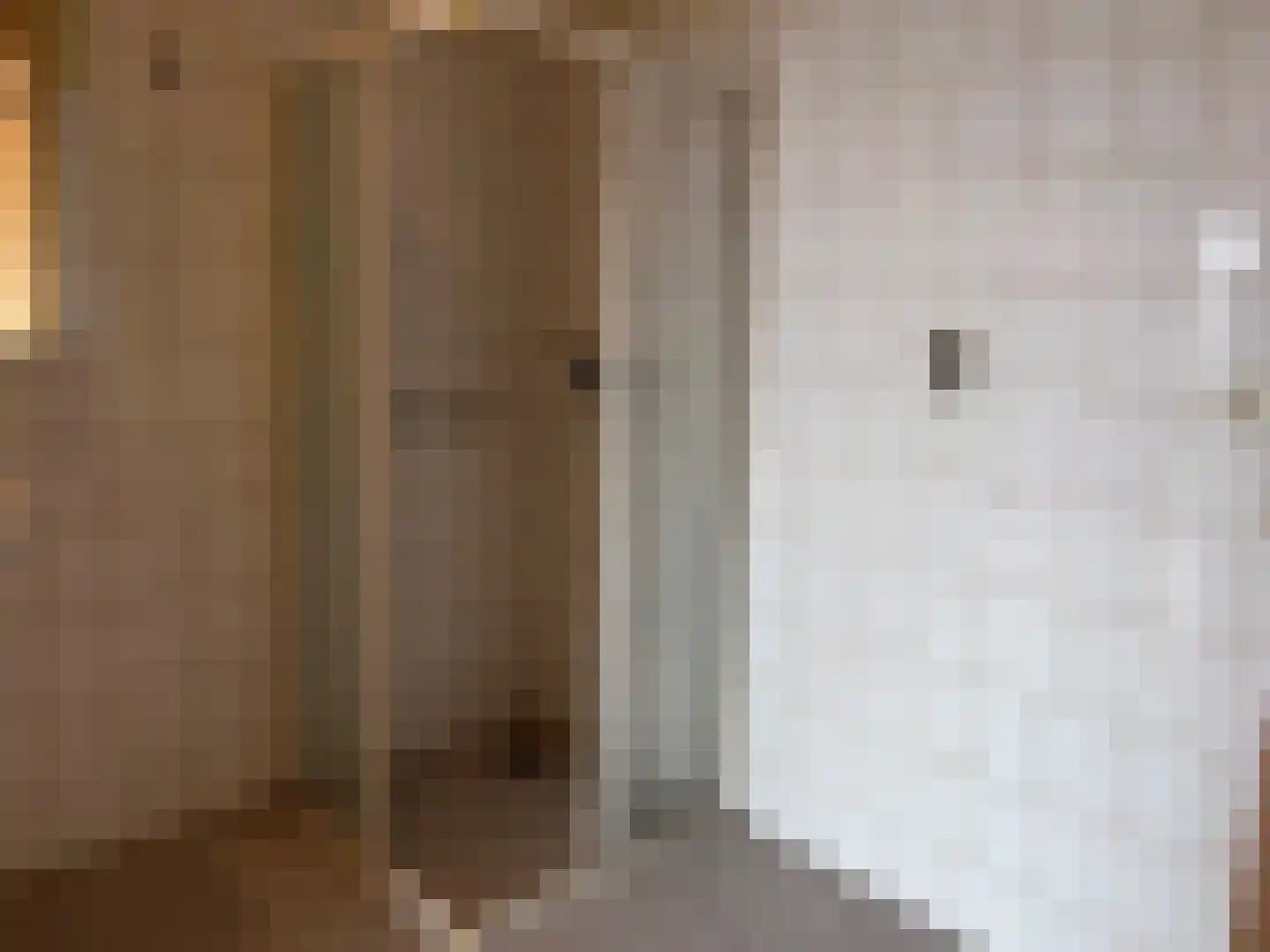 Hoofdstraat 6 m Vroomshoop thumbnail 29
