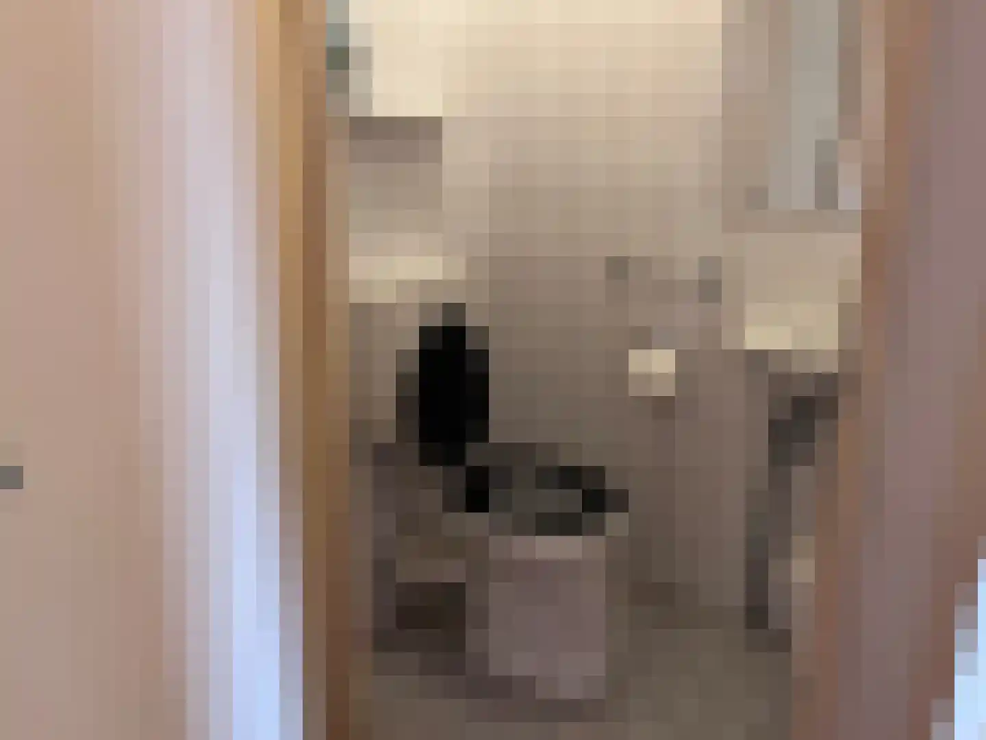 Hoofdstraat 6 m Vroomshoop thumbnail 33