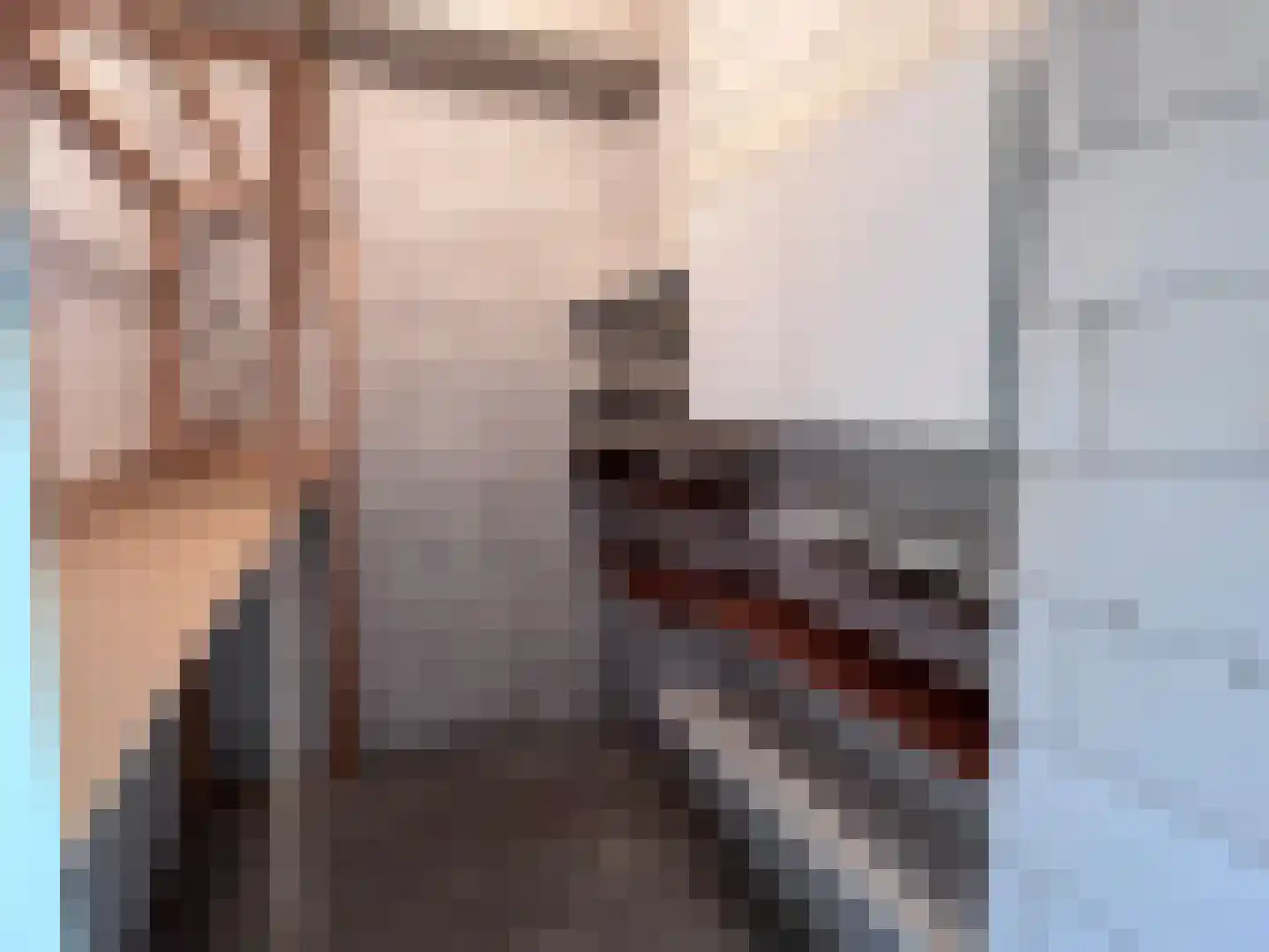 Hoofdstraat 6 m Vroomshoop thumbnail 43