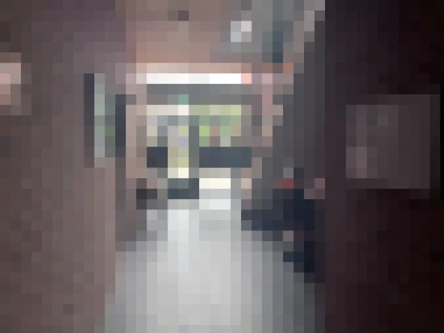 Hoofdstraat 6 m Vroomshoop thumbnail 8