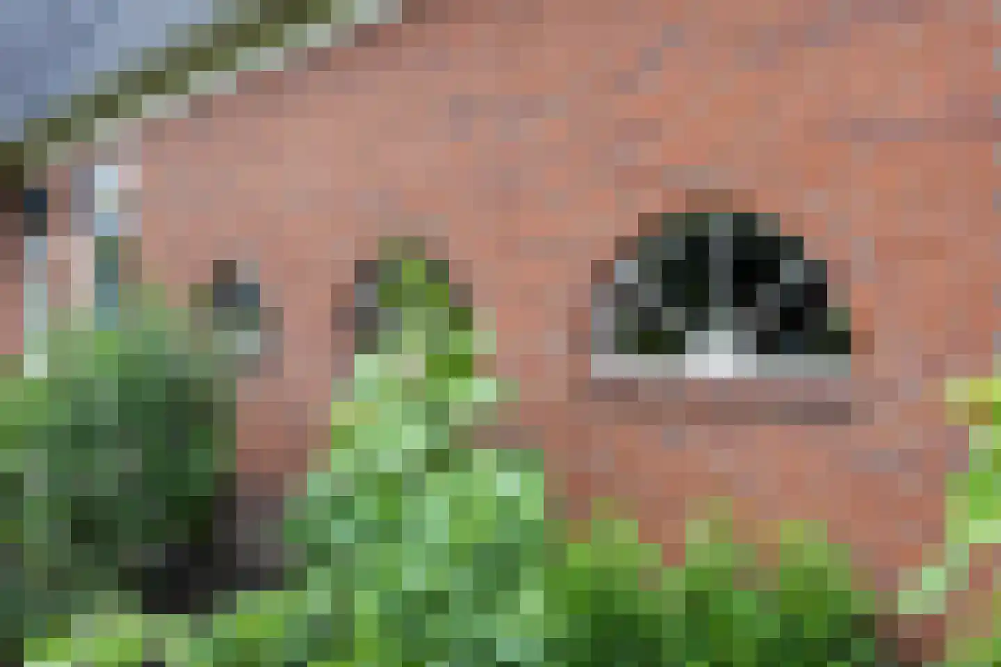 Hoofdstraat 6 Mensingeweer thumbnail 10