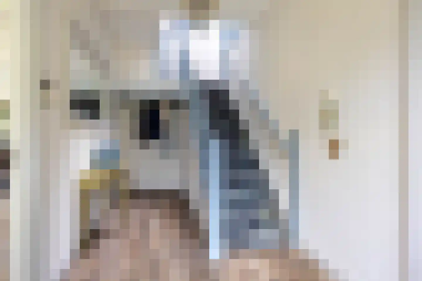 Hoofdstraat 6 Mensingeweer thumbnail 14