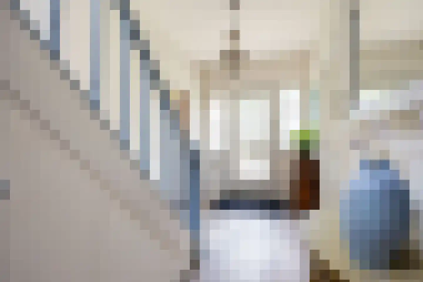 Hoofdstraat 6 Mensingeweer thumbnail 15