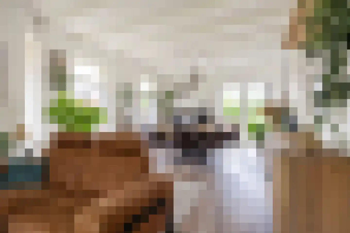 Hoofdstraat 6 Mensingeweer thumbnail 19