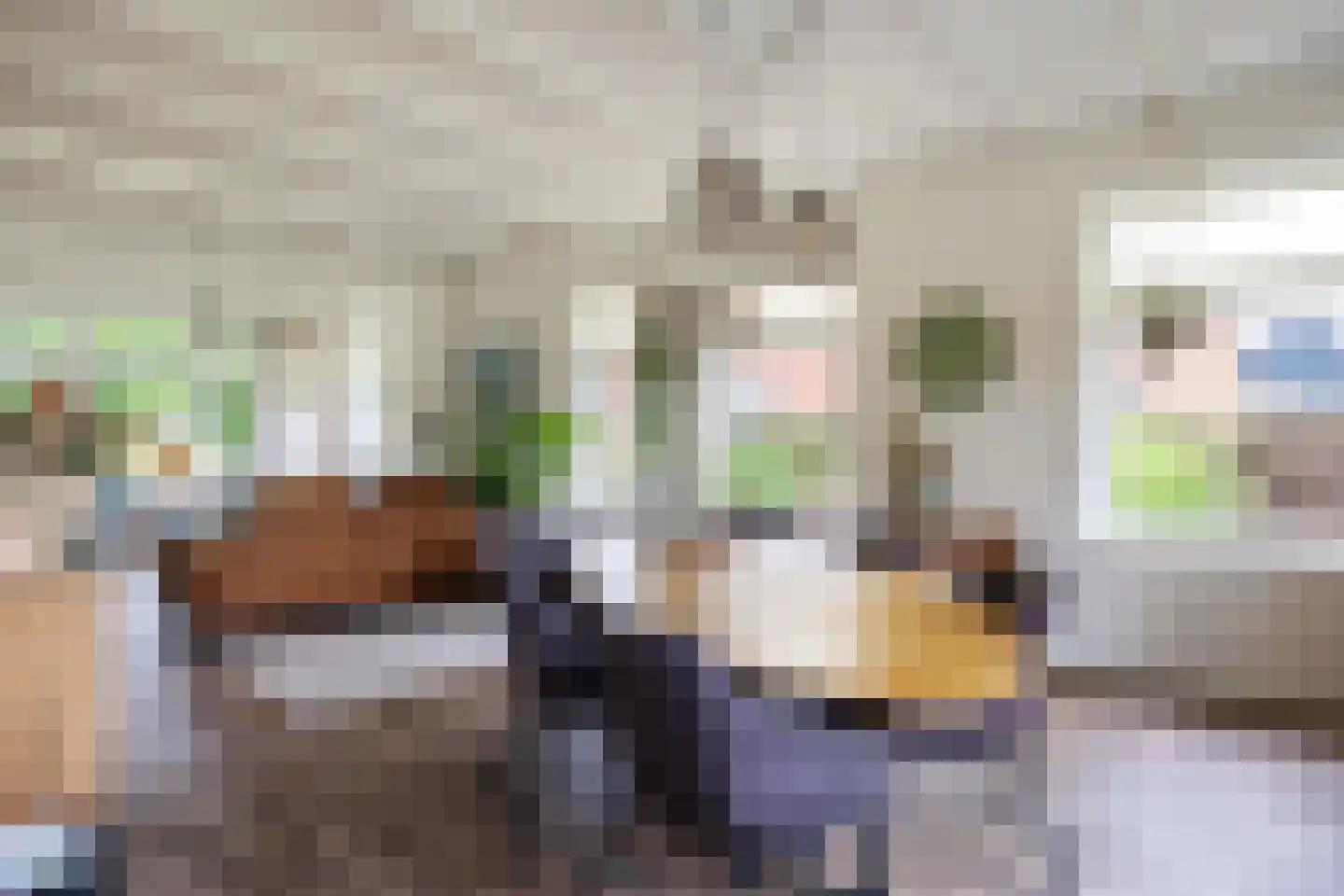 Hoofdstraat 6 Mensingeweer thumbnail 30