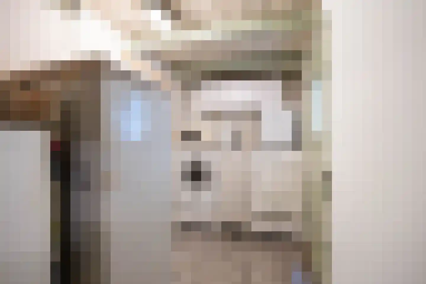Hoofdstraat 6 Mensingeweer thumbnail 39